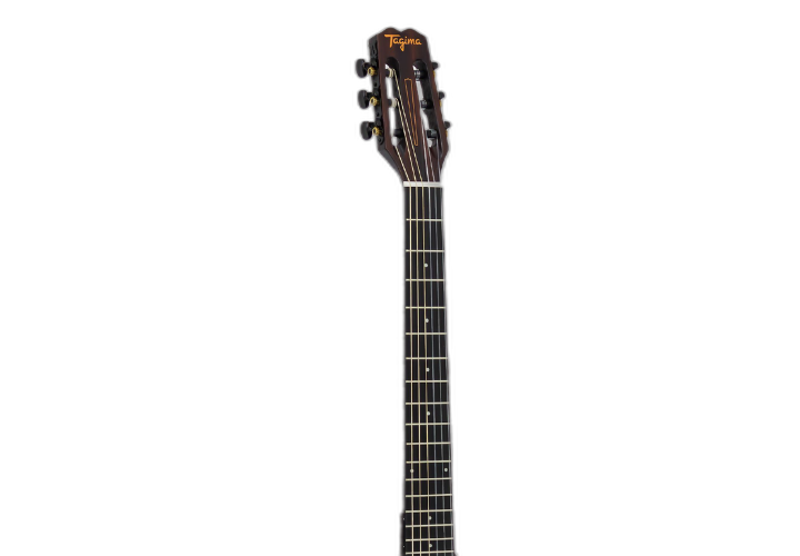 Escala Technical Wood e Braço Mahogany