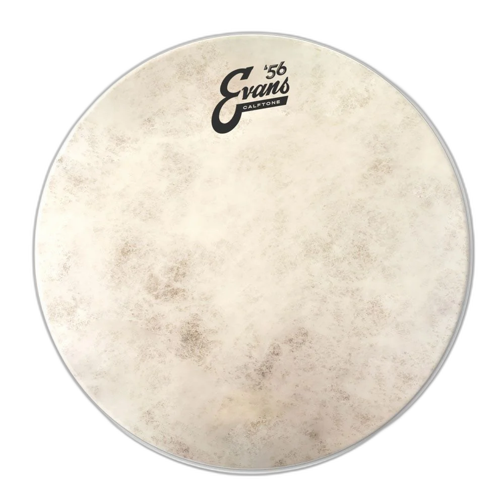 Pele Para Tom E Caixa Calftone 13'' Evans TT13C7
