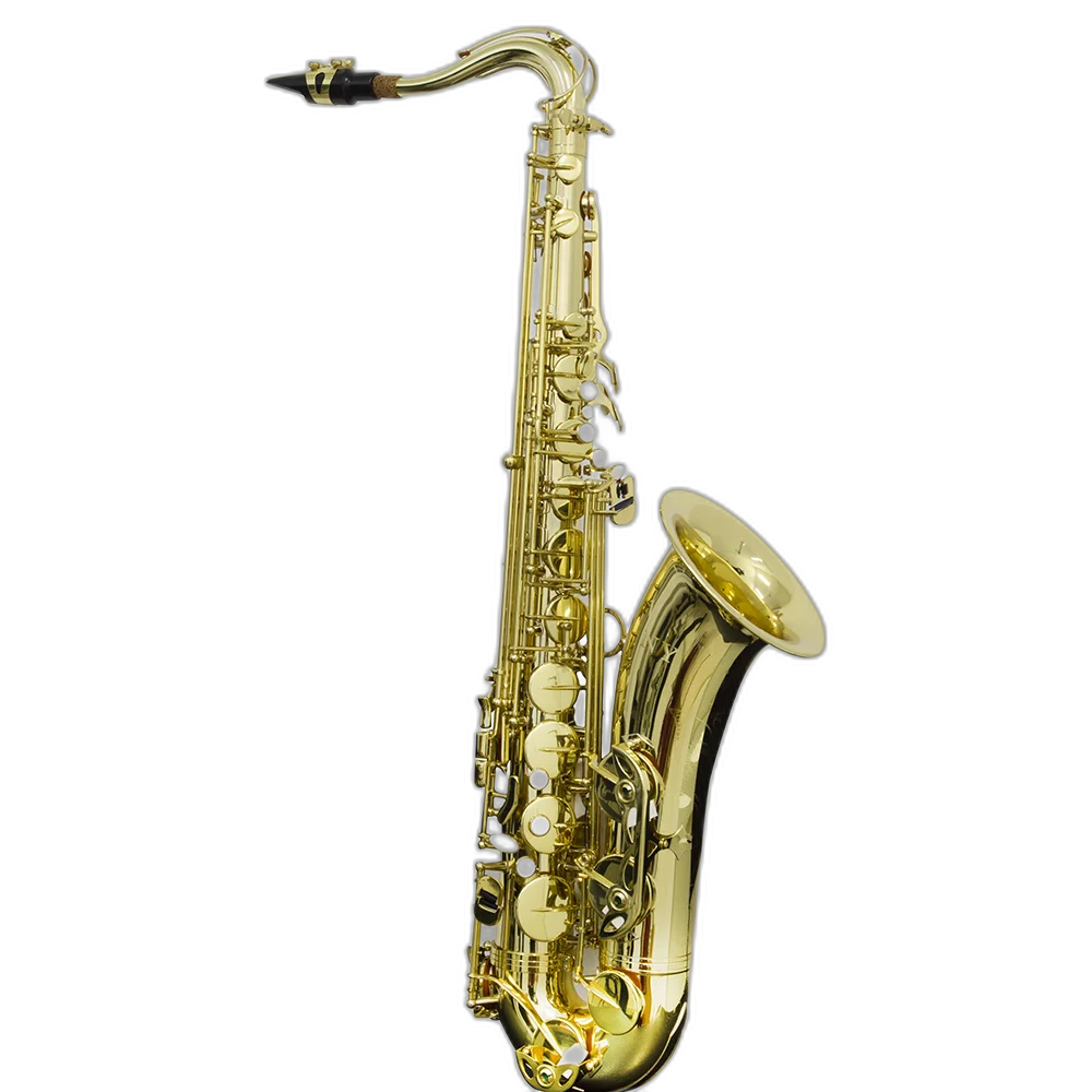 Saxofone Tenor Ts 200 Laqueado Dourado Com Case New York