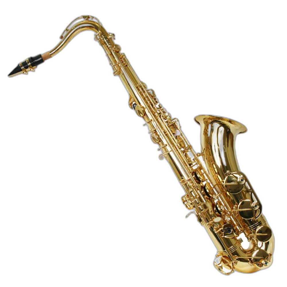 Saxofone Tenor Ts 200 Laqueado Dourado Com Case New York